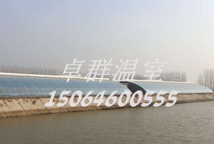 南水北調日光溫室大棚.jpg