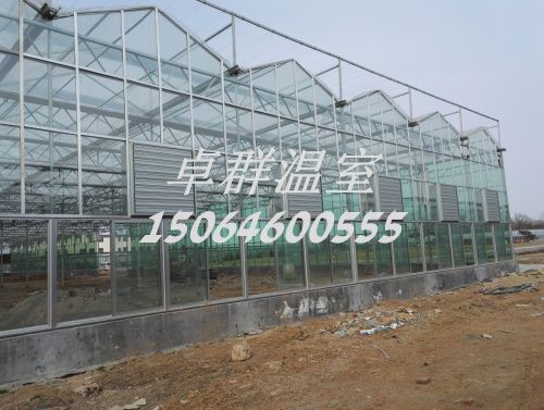 內(nèi)蒙古包頭市紋絡(luò)玻璃溫室。